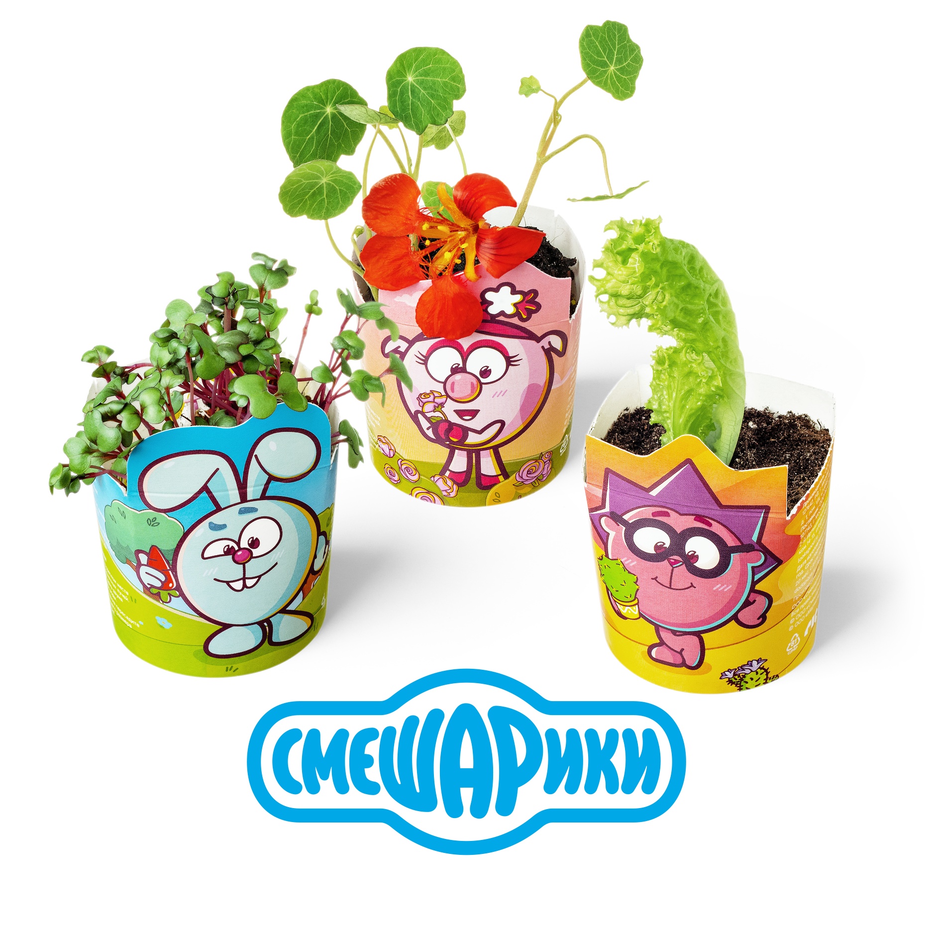 Набор юного садовода заказать с доставкой на дом — купить пиццу по ...